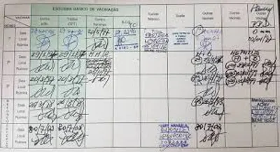 Brazilian Vaccination Records Translation